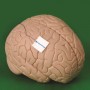 neurosurgical-pads